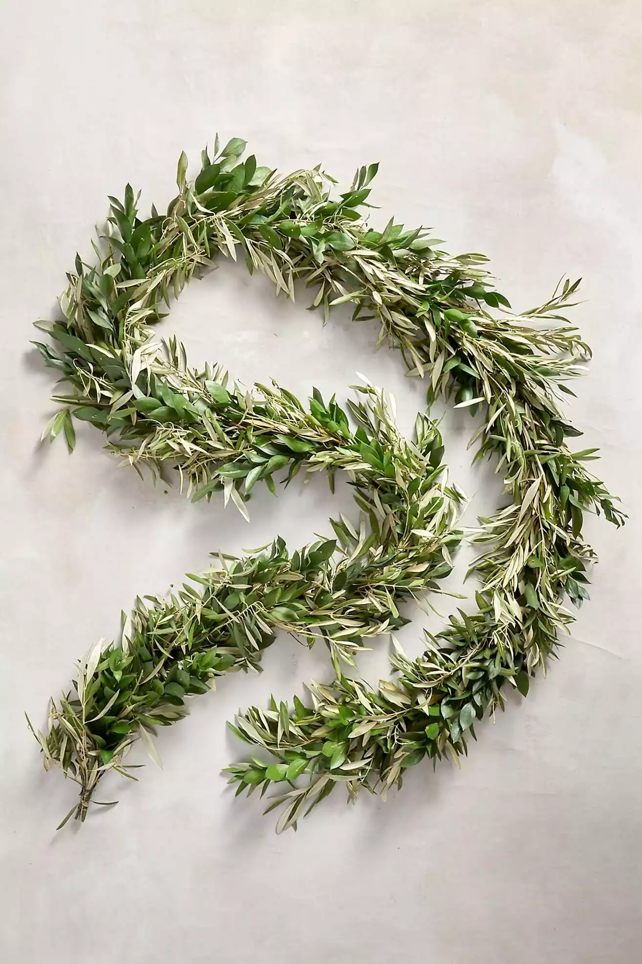 Fresh Ruscus + Olive Leaf Garland | Anthropologie